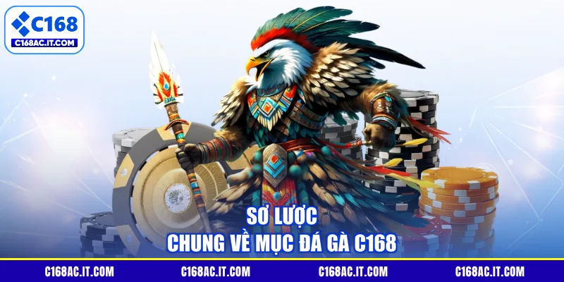 Sơ lược chung về mục Đá Gà C168