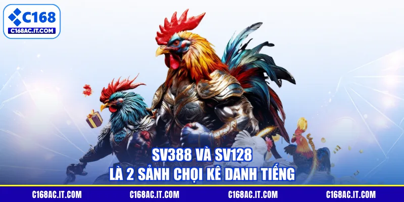 SV388 và SV128 là 2 sảnh chọi kê danh tiếng