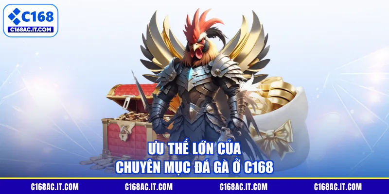 Ưu thế lớn của chuyên mục đá gà ở C168